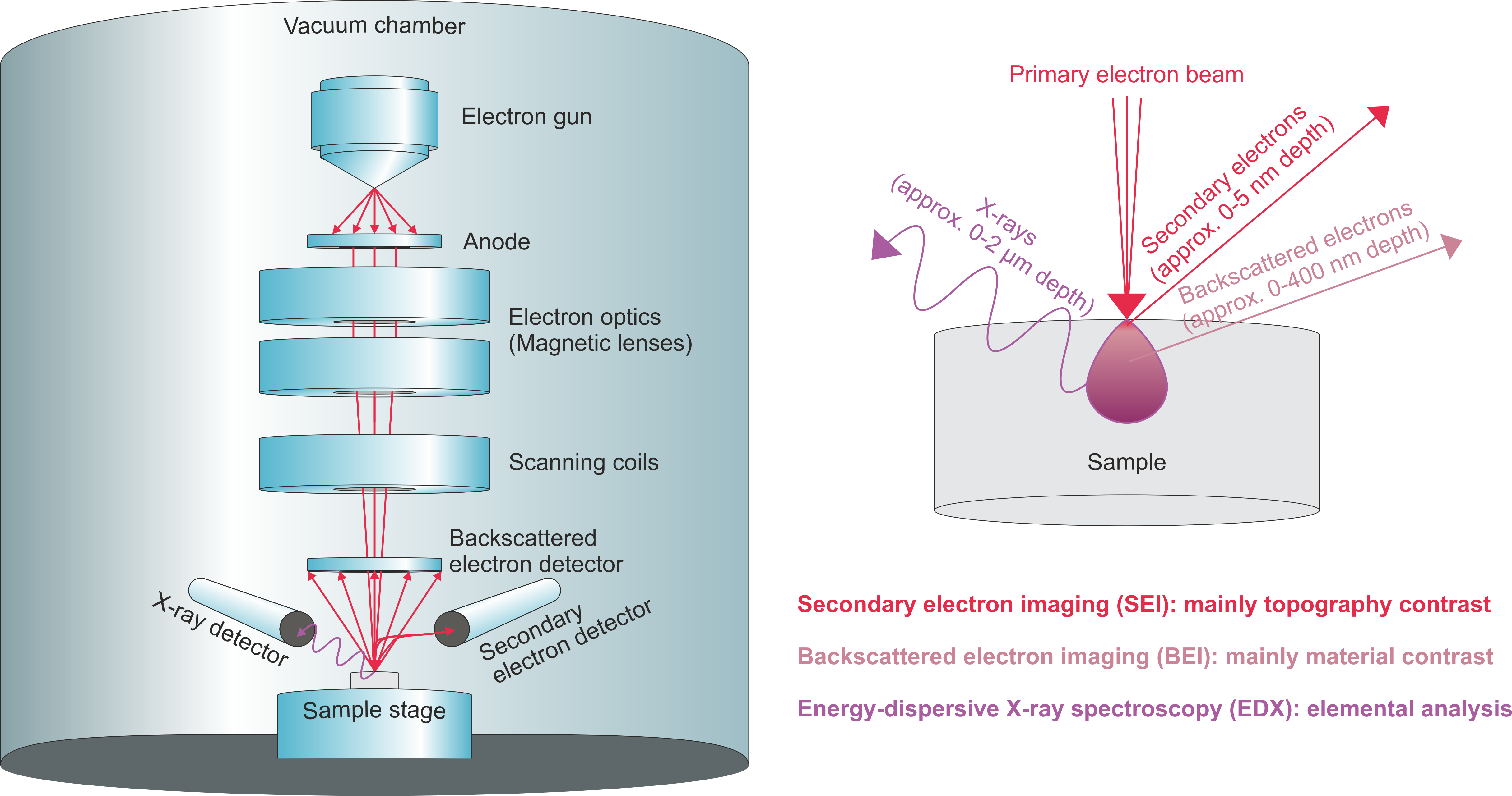 Prinsip Kerja Transmission Electron Microscopy Tem Da - vrogue.co